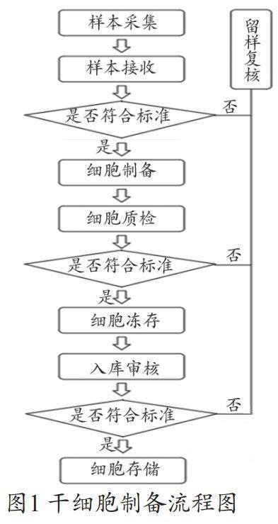 干細胞實驗室流程